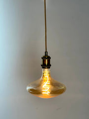 Brass Vintage LED Pendant Lights with Extra Large LED Globe Light Bulb Warm Light 4W E27